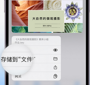 黎城apple维修中心分享iPhone文件应用中存储和找到下载文件