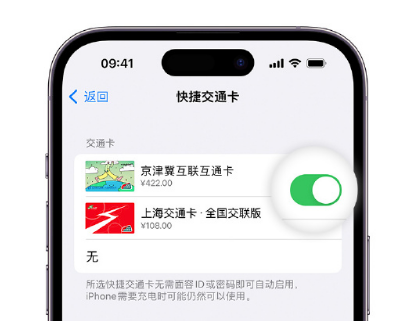 黎城apple维修点分享iPhone上更换Apple Pay快捷交通卡手绘卡面 