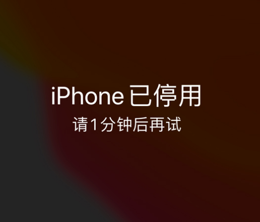 黎城苹果手机维修分享:iPhone 显示“不可用”或“已停用”怎么办？还能保留数据吗？ 