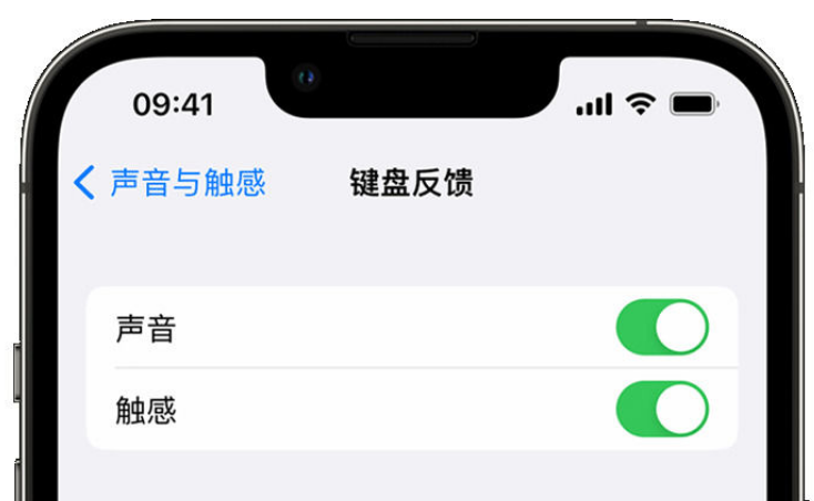 黎城苹果手机维修分享iPhone 14触感键盘使用方法 