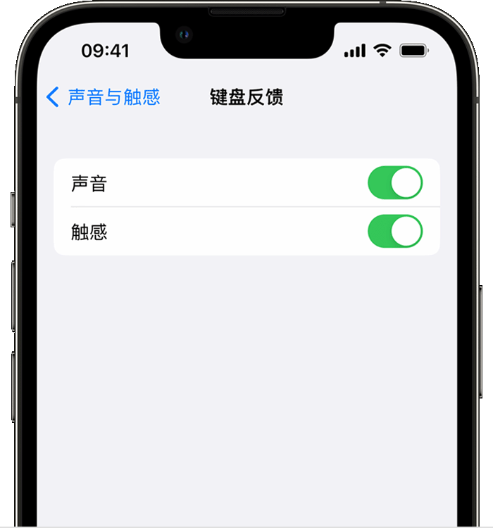 黎城苹果14维修店分享如何在 iPhone 14 机型中使用触感键盘 