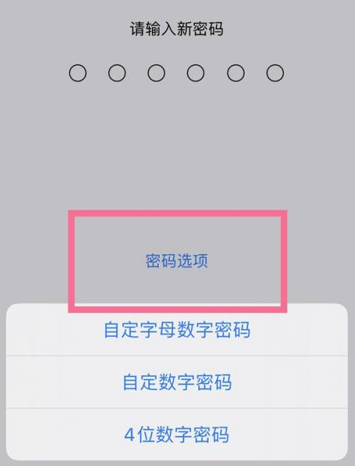 黎城苹果14维修分享iPhone 14plus设置密码的方法 