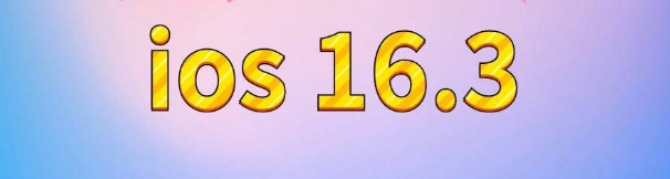 黎城苹果服务网点分享苹果iOS16.3升级反馈汇总 