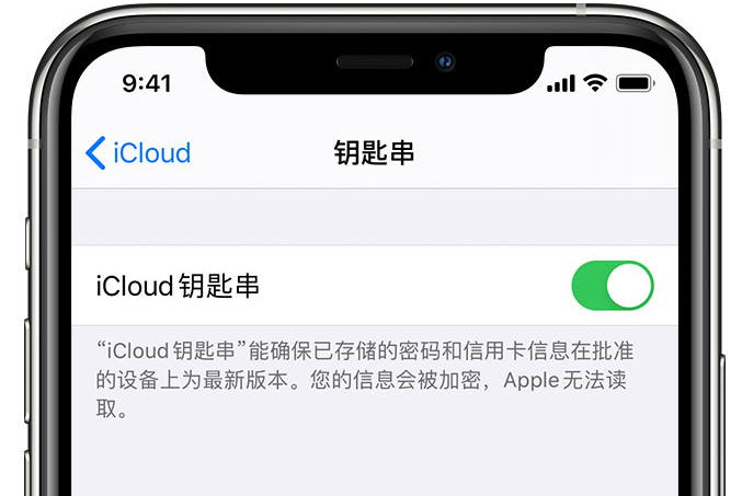 黎城苹果手机维修分享在 iPhone 上开启 iCloud 钥匙串之后会储存哪些信息 