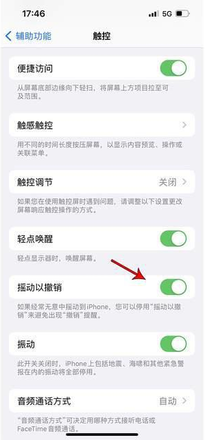 黎城苹果手机维修分享iPhone手机如何设置摇一摇删除文字 