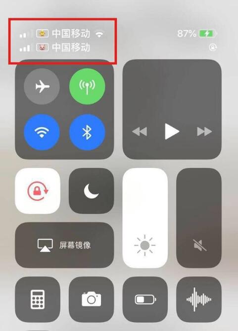 黎城苹果手机维修分享为 iPhone 12 双卡设置标签 
